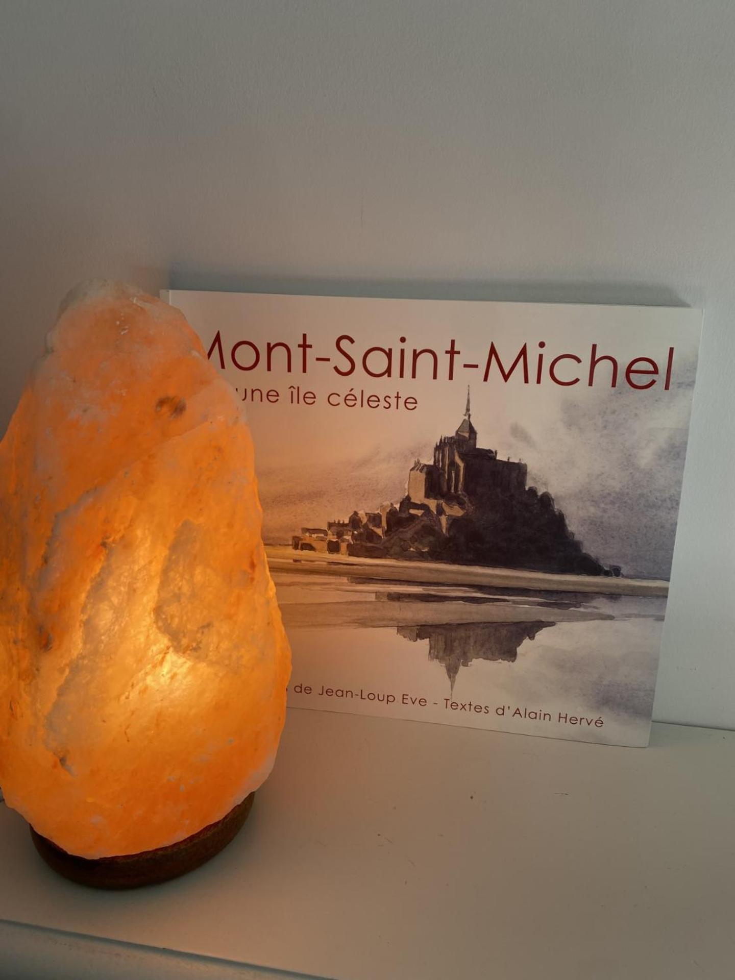 L'Oree Du Mont Proche Du Mont Saint Michel 뽕또흑송 외부 사진